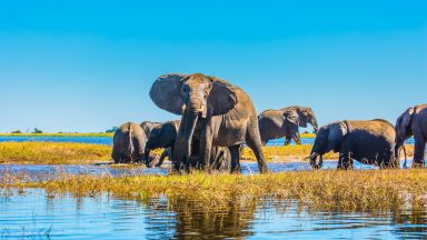 Victoria Falls & rezervace Hwange